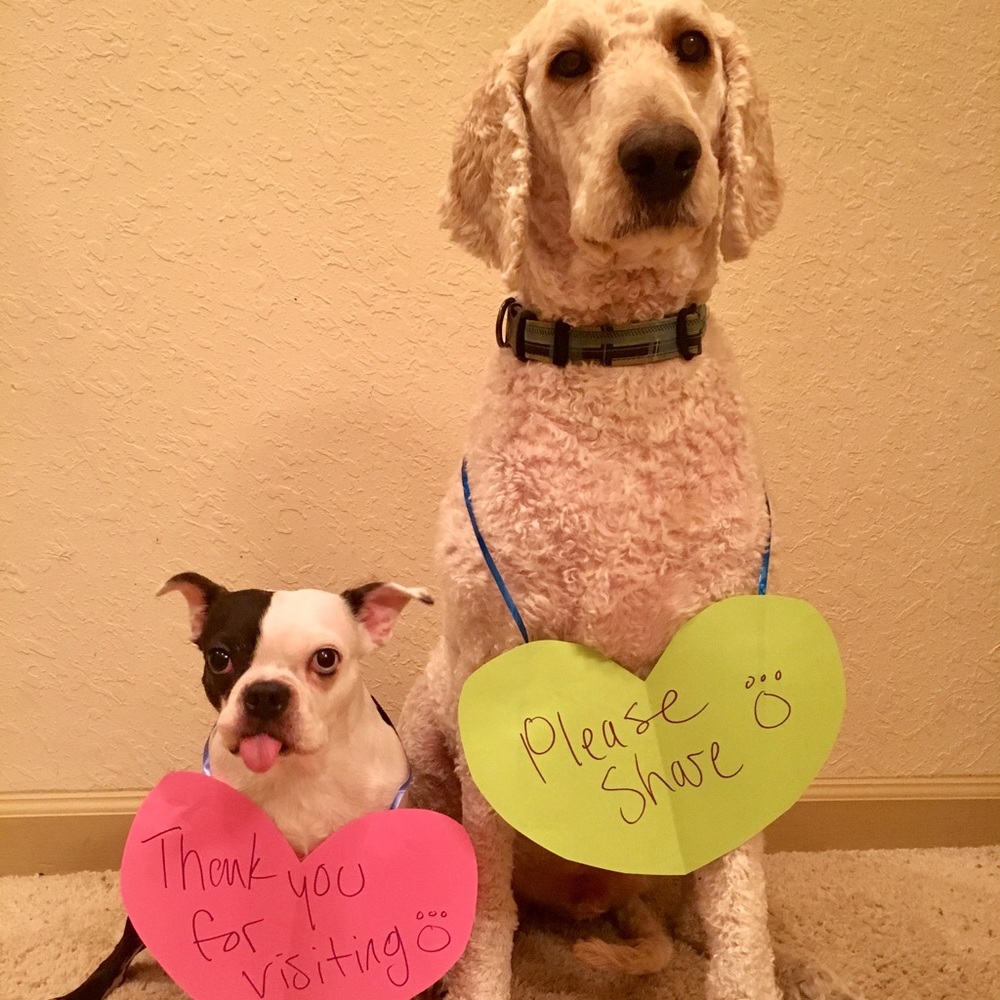 Thanks❤️🐶
